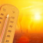 여름철 온열질병(일사병, 열사병)